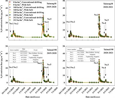 Optimizing sowing patterns in winter wheat can reduce N2O emissions and improve grain yield and NUE by enhancing N uptake